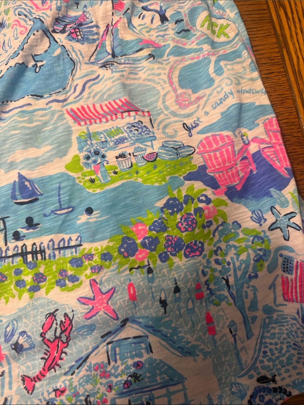 Lilly Pulitzer Short Sleeve V-Neck Tee in Blue, Pink & Green Nantucket Print - Picture 3 of 5
